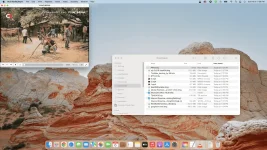 Screen Shot 2022-02-06 at 7.38.44 PM.webp