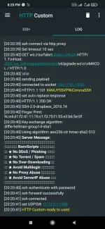Screenshot_2022-02-06-20-20-44-880_xyz.easypro.httpcustom.webp Screenshot_2022-02-06-20-20-44-880_xyz.easypro.httpcustom.webp