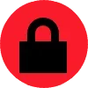 100(3).webp