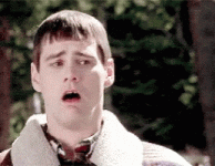 received_722575248743128.gif