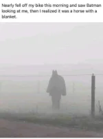1644288808669.webp