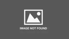 2113375_purplebar.webp 2113375_purplebar.webp