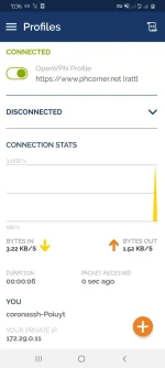 Screenshot_20220208-193653_OpenVPN Connect.jpg