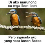 1641824287802.webp