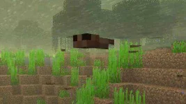 1644357084_tadpoles-minecraft.webp
