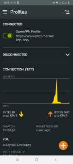 Screenshot_20220213-073827_OpenVPN Connect.webp Screenshot_20220213-073827_OpenVPN Connect.webp