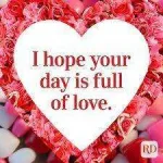 love.webp love.webp