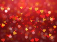 USER_BG3.webp
