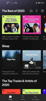 Screenshot_20201225_213045_com.spotify.music.webp