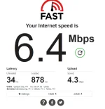 momo.webp