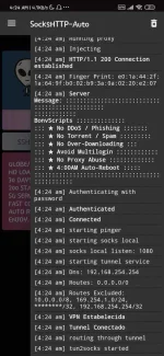Screenshot_2020-12-27-04-24-35-399_com.slipkprojects.sockshttpone.webp