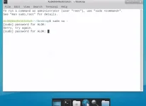 alok.webp alok.webp