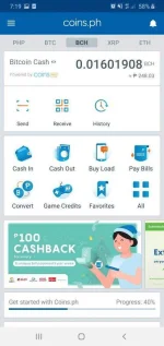 Screenshot_20201227-191958_coinsph.webp