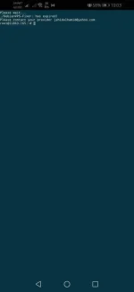 Screenshot_20201228_100345_com.sonelli.juicessh.webp