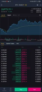 Screenshot_2020-12-28-11-09-50-606_com.binance.dev.jpg