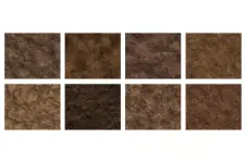 1773113031355.webp
