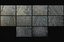 1773113337164.webp