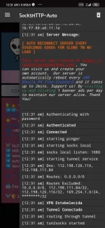 Screenshot_2020-12-31-00-31-30-744_com.slipkprojects.sockshttpone.webp