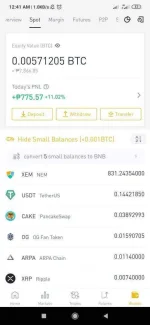 Screenshot_2021-01-01-00-41-03-101_com.binance.dev.webp
