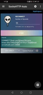 Screenshot_20210101_013128_com.slipkprojects.sockshttpone.webp