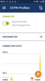 Screenshot_20210103-091317_OpenVPN_Connect.webp