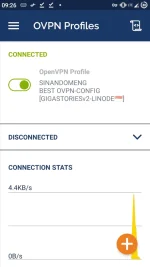 Screenshot_20210103-092621_OpenVPN_Connect.webp