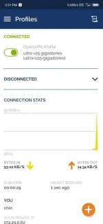 Screenshot_2021-01-03-14-51-13-370_net.openvpn.openvpn.webp