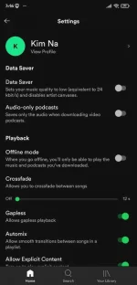 Screenshot_2021-01-03-15-46-19-037_com.spotify.music.webp