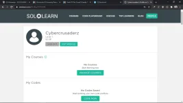 sololearn account.webp sololearn account.webp
