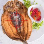 Target Locked.webp