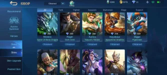 Screenshot_2021-01-04-14-22-25-545_com.mobile.legends.webp