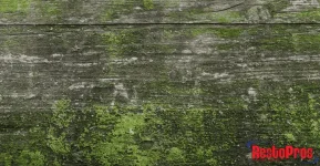 1609851472482.webp
