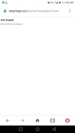 Screenshot_20210106-010625.webp