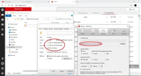 MegaSync Bypass Quota..PNG MegaSync Bypass Quota..PNG