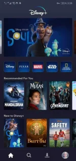 Screenshot_20210107_033928_com.disney.disneyplus.webp