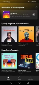Screenshot_20210107_213019_com.spotify.music.webp