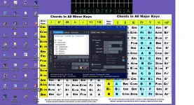 SS 1.webp