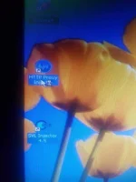 20210108_021918.webp
