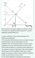 4.webp