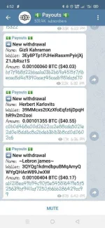 Screenshot_2021-01-08-18-52-15-28.webp