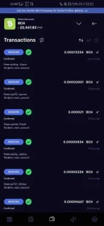 Screenshot_20210110_002147_cash.klever.blockchain.wallet.jpg