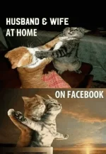 husband_n_wife.webp