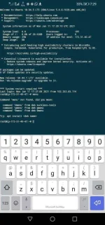 Screenshot_20210111_192932_com.sonelli.juicessh.webp