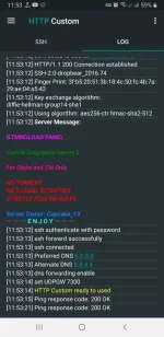 Screenshot_20210112-115326_HTTP Custom.jpg
