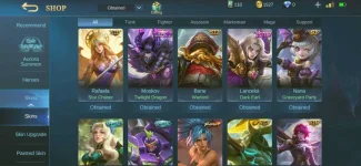 Screenshot_20210114-153444_Mobile Legends Bang Bang.webp
