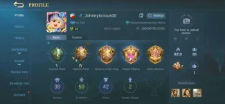 Screenshot_20210117-234928_Mobile Legends Bang Bang.webp