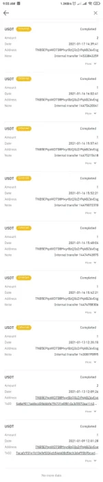 Screenshot_2021-01-27-09-55-01-207_com.binance.dev.webp
