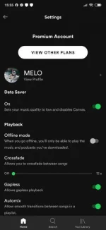 -15-55-54-191_com.spotify.musicf13a069e9dae246f.md.webp