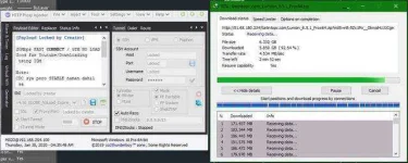 speedy.webp