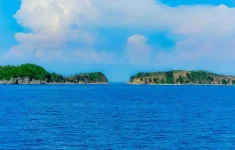 33Civ8w.webp